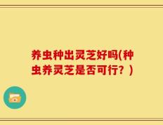 养虫种出灵芝好吗(种虫养灵芝是否可行？)