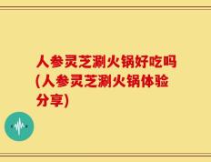 人参灵芝涮火锅好吃吗(人参灵芝涮火锅体验分享)