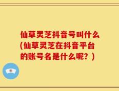 仙草灵芝抖音号叫什么(仙草灵芝在抖音平台的账号名是什么呢？)