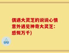 偶遇大灵芝的说说心情意外遇见神奇大灵芝：感慨万千)