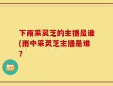 下雨采灵芝的主播是谁(雨中采灵芝主播是谁？