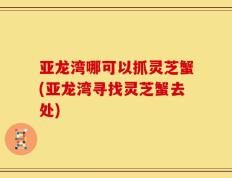 亚龙湾哪可以抓灵芝蟹(亚龙湾寻找灵芝蟹去处)