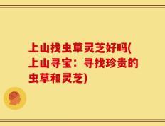 上山找虫草灵芝好吗(上山寻宝：寻找珍贵的虫草和灵芝)