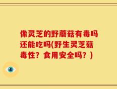 像灵芝的野蘑菇有毒吗还能吃吗(野生灵芝菇毒性？食用安全吗？)
