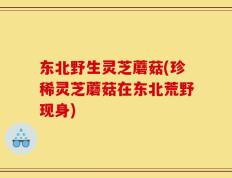 东北野生灵芝蘑菇(珍稀灵芝蘑菇在东北荒野现身)