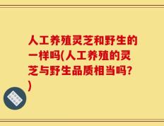 人工养殖灵芝和野生的一样吗(人工养殖的灵芝与野生品质相当吗？)
