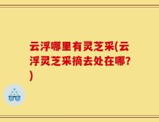 云浮哪里有灵芝采(云浮灵芝采摘去处在哪？)