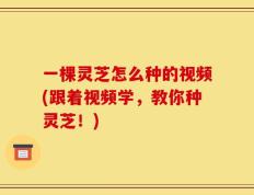 一棵灵芝怎么种的视频(跟着视频学，教你种灵芝！)