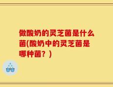 做酸奶的灵芝菌是什么菌(酸奶中的灵芝菌是哪种菌？)