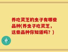 养吃灵芝的虫子有哪些品种(养虫子吃灵芝，这些品种你知道吗？)