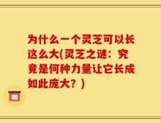 为什么一个灵芝可以长这么大(灵芝之谜：究竟是何种力量让它长成如此庞大？)