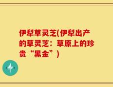 伊犁草灵芝(伊犁出产的草灵芝：草原上的珍贵“黑金”)