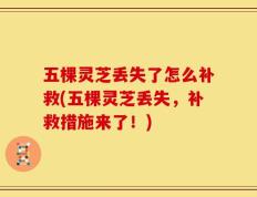 五棵灵芝丢失了怎么补救(五棵灵芝丢失，补救措施来了！)