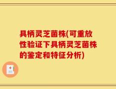 具柄灵芝菌株(可重放性验证下具柄灵芝菌株的鉴定和特征分析)