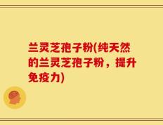 兰灵芝孢子粉(纯天然的兰灵芝孢子粉，提升免疫力)