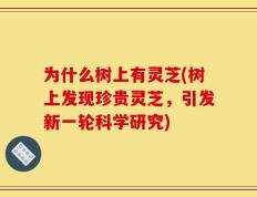 为什么树上有灵芝(树上发现珍贵灵芝，引发新一轮科学研究)
