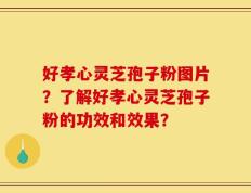 好孝心灵芝孢子粉图片？了解好孝心灵芝孢子粉的功效和效果？