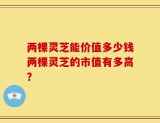 两棵灵芝能价值多少钱两棵灵芝的市值有多高？