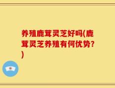 养殖鹿茸灵芝好吗(鹿茸灵芝养殖有何优势？)
