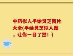 中药拟人手绘灵芝图片大全(手绘灵芝拟人图，让你一目了然！)