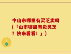 中山市哪里有灵芝卖呀(「山市哪里有卖灵芝？快来看看！」)