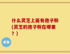 什么灵芝上面有孢子粉(灵芝的孢子粉在哪里？)