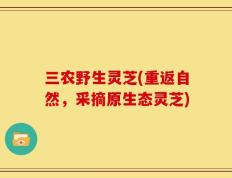 三农野生灵芝(重返自然，采摘原生态灵芝)