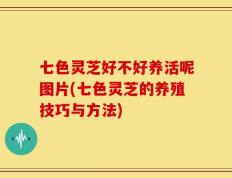 七色灵芝好不好养活呢图片(七色灵芝的养殖技巧与方法)