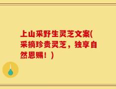 上山采野生灵芝文案(采摘珍贵灵芝，独享自然恩赐！)
