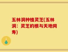 五林洞种植灵芝(五林洞：灵芝的根与天地同寿)
