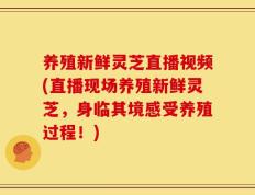 养殖新鲜灵芝直播视频(直播现场养殖新鲜灵芝，身临其境感受养殖过程！)