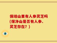 保靖山里有人参灵芝吗(保净山是否有人参、灵芝存在？)