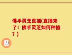 佛手灵芝直播(直播来了！佛手灵芝如何种植？)