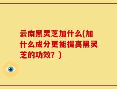 云南黑灵芝加什么(加什么成分更能提高黑灵芝的功效？)