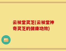 云祯堂灵芝(云祯堂神奇灵芝的健康功效)