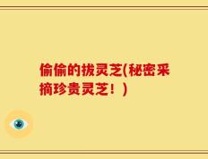偷偷的拔灵芝(秘密采摘珍贵灵芝！)