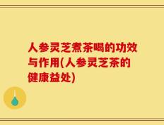 人参灵芝煮茶喝的功效与作用(人参灵芝茶的健康益处)