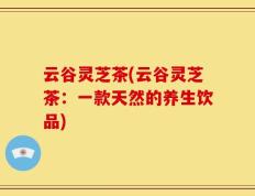 云谷灵芝茶(云谷灵芝茶：一款天然的养生饮品)
