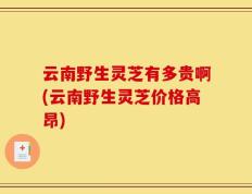 云南野生灵芝有多贵啊(云南野生灵芝价格高昂)