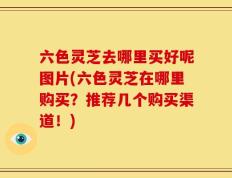 六色灵芝去哪里买好呢图片(六色灵芝在哪里购买？推荐几个购买渠道！)
