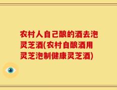 农村人自己酿的酒去泡灵芝酒(农村自酿酒用灵芝泡制健康灵芝酒)