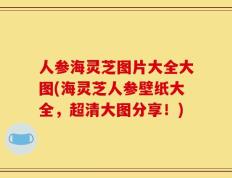 人参海灵芝图片大全大图(海灵芝人参壁纸大全，超清大图分享！)