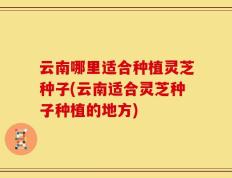云南哪里适合种植灵芝种子(云南适合灵芝种子种植的地方)