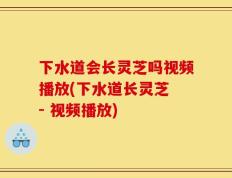 下水道会长灵芝吗视频播放(下水道长灵芝 - 视频播放)