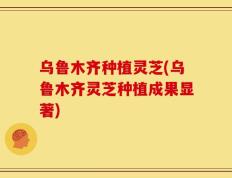 乌鲁木齐种植灵芝(乌鲁木齐灵芝种植成果显著)