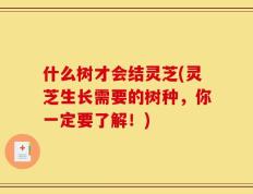 什么树才会结灵芝(灵芝生长需要的树种，你一定要了解！)