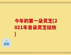 今年的第一朵灵芝(2021年首朵灵芝绽放)