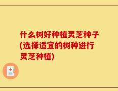 什么树好种植灵芝种子(选择适宜的树种进行灵芝种植)