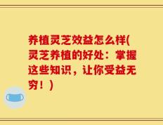 养植灵芝效益怎么样(灵芝养植的好处：掌握这些知识，让你受益无穷！)