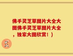 佛手灵芝草图片大全大图佛手灵芝草图片大全，独家大图欣赏！)